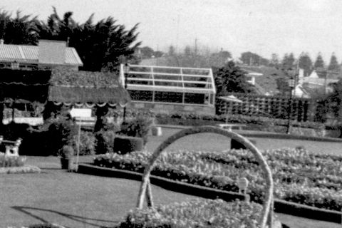 The peacock house just after it was built in 1965