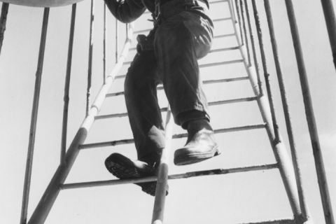 Descending the ball through the cage near the top of the ladder.  Photo:Fitzgibbon Family